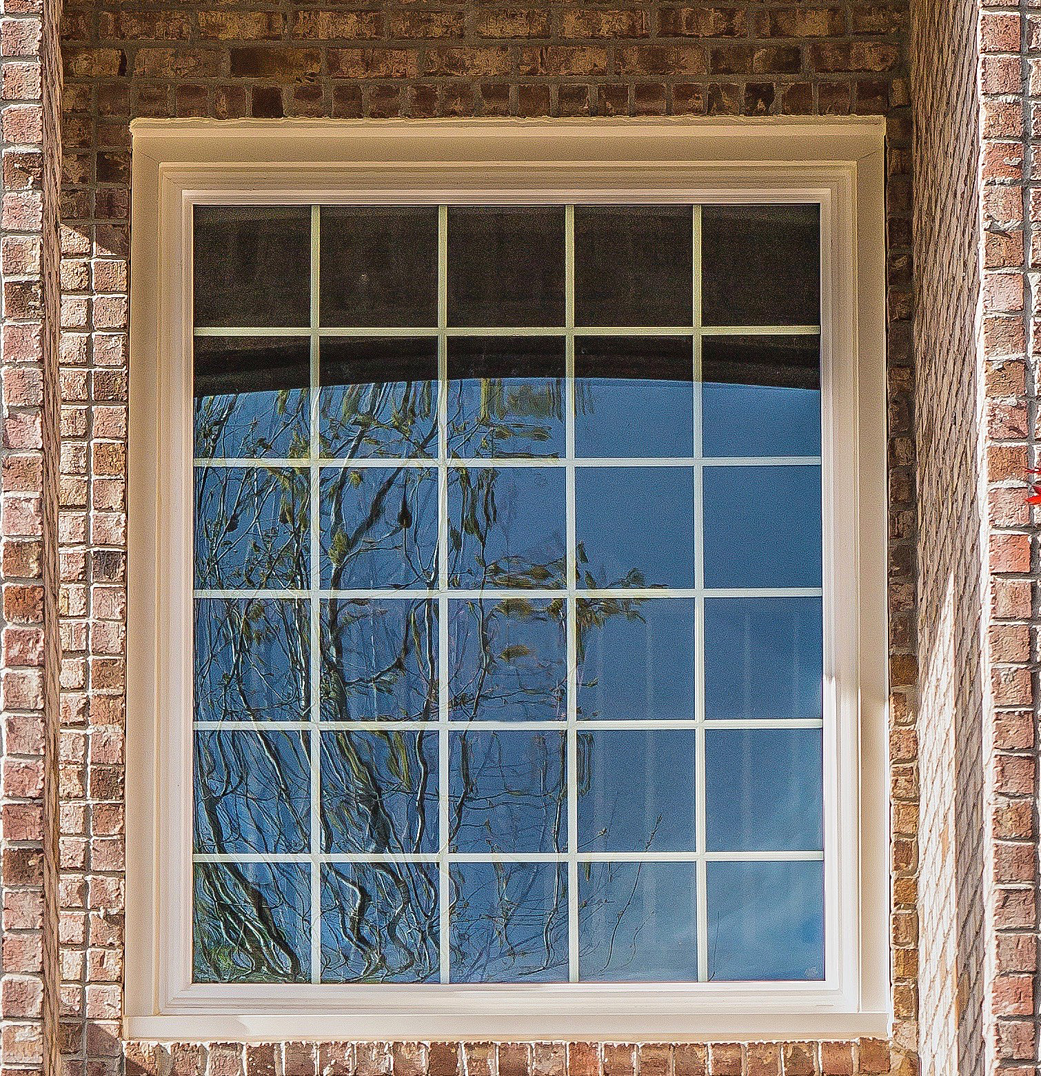 Signature Gold Window Options